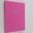 Philipp Keel : Keels Simple Diary Volume Two - pikkukuva 1