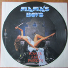 MAMAS BOYS: Power & Passion (kuvalevy ja normivinyyli) - pikkukuva 1