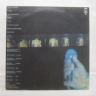 Garland Jeffreys: Rock & Roll Adult  LP 1981 - pikkukuva 2