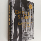 Emelie Schepp : Kadonnut poika - pikkukuva 1