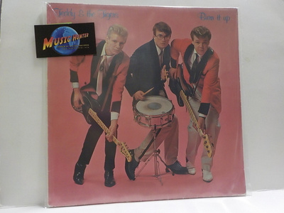 TEDDY & THE TIGERS - BURN IT UP EX/EX LP+