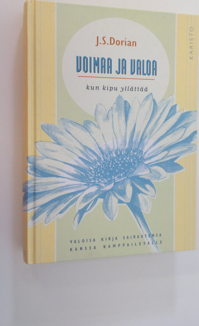 J. S. Dorian : Voimaa ja valoa, kun kipu yllättää : mieti...
