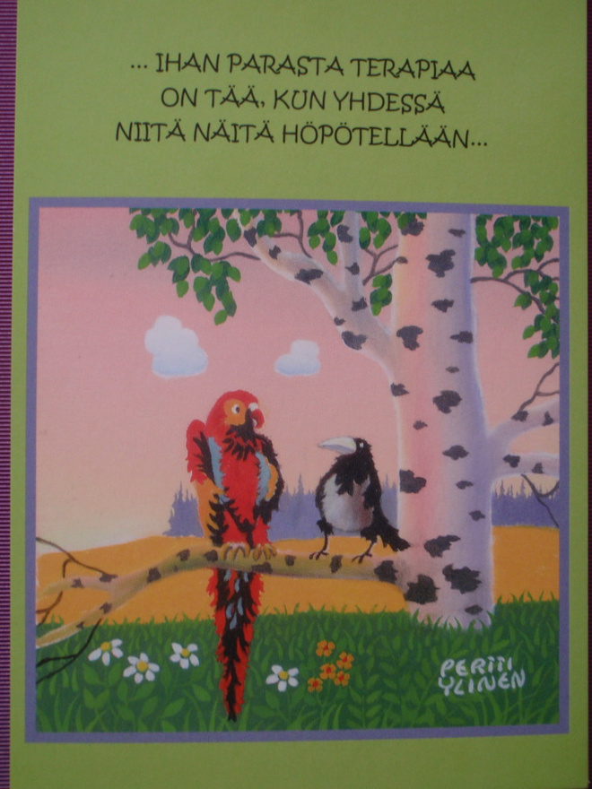 Pertti Ylinen varis ja papukaija koivun oksalla
