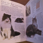 Chats - ensyklopedia kissaeläimistä - pikkukuva 2