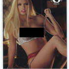 2004 Playboy Playmate Review #35 Lauren Anderson - pikkukuva 1