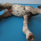 Schleich Knabstrupin hevonen, varsa - pikkukuva 5