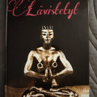 Jouni Hokkanen: Lävistetyt - pikkukuva 1