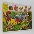 Gisela Fischer : Eläimiä metsässä - pikkukuva 1