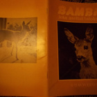 BAMBI - pikkukuva 1