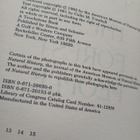 Colin M. Turnbull - The Forest People (softcover) - pikkukuva 4