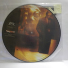MALEVOLENCE - MARTYRIALIZED UUSI 12" PICTURE VINYL - pikkukuva 2