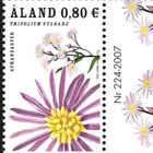 Åland 2007 Rantakukkia 0,80 € välilöpari ** LaPe 273 - pikkukuva 1