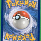 Pokémon Spinda - pikkukuva 2