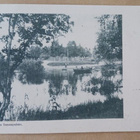 Käkisalmi, Käkisalmen linnan puistoa, mv pk p. 1901 - pikkukuva 1