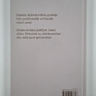Mari Vainio : Antaudu hiljaisuudelle - pikkukuva 2