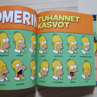 Homerin oma kirja, Homer Simpson - pikkukuva 5