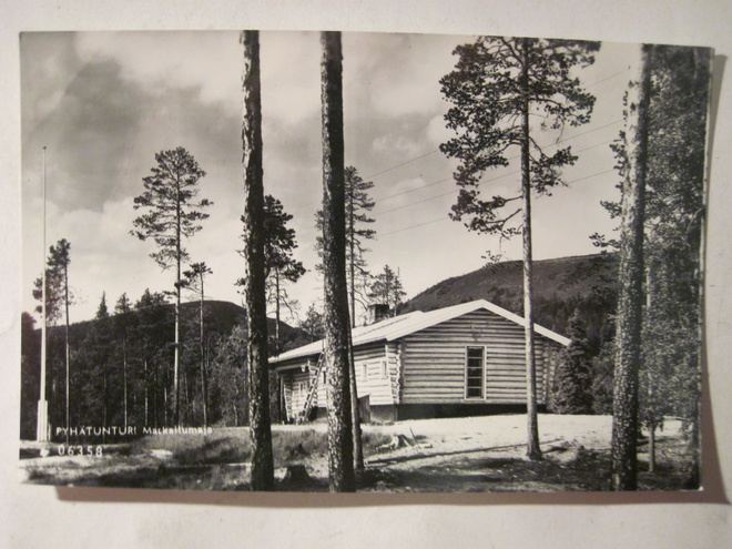 Postikortti Pyhätunturi Lappi 1950-l Alkup.Mallikappale
