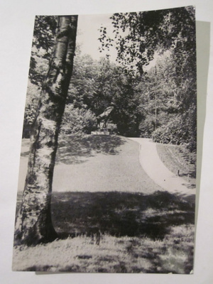 VANHA Postikortin Alkup.Mallikappale Viipuri 1920-l