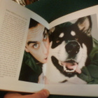 MEN & DOGS A Personal History from Bogart to Bowie *Sis.pk:t - pikkukuva 4