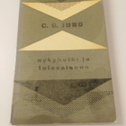 C. G. Jung: Nykyhetki ja tulevaisuus - pikkukuva 1