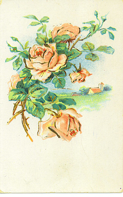 Ruusut , "kultakoristelulla", v.1926