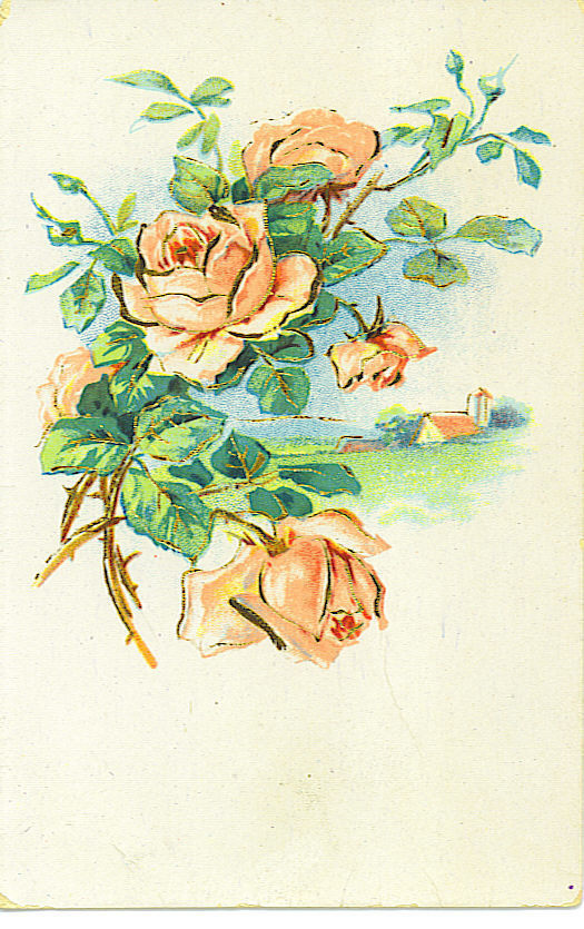 Ruusut , "kultakoristelulla", v.1926