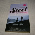 Danielle Steel Sydämen asioita  -pok - pikkukuva 1