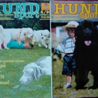 Hundsport 4&6-93; Raser, berättelser mm - pikkukuva 1