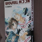 Yu Tomofuji : Wolfull Moon ( 2013 ) - pikkukuva 1