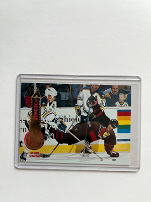 1994-95 Pinnacle Patrick Kane, Sylvain Turgeon #288