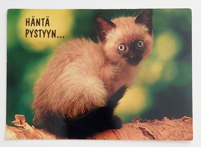 "Häntä pystyyn..."-KULKEMATON POSTIKORTTI