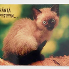 "Häntä pystyyn..."-KULKEMATON POSTIKORTTI - pikkukuva 1