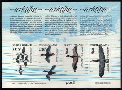 2017 Arktika, postituore pienoisarkki.