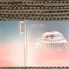 Hope Sandoval And The Warm Inventions - Until The Hunter CD - pikkukuva 1