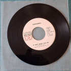 HURRIGANES Tallahassee Lassie/It Ain't What You Do 1974 1975 - pikkukuva 2