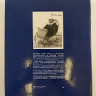 Kuin Tiiran lento : muistelmia nuoruudesta 1920- ja 1930-... - pikkukuva 2