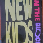 New Kids On The Block - valokuva-albumi - A3 - pikkukuva 3