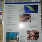 Perhokalastus 4/2006 - pikkukuva 3