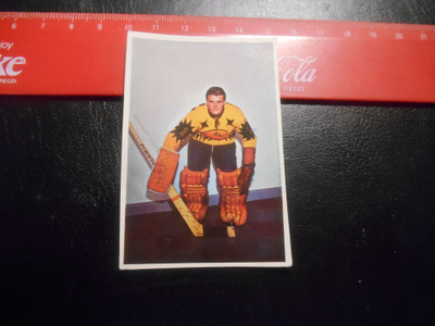 K15 Jenkki Jääkiekko-sarja  # 81 Raimo Helppolainen Saipa
