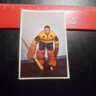 K15 Jenkki Jääkiekko-sarja  # 81 Raimo Helppolainen Saipa - pikkukuva 1