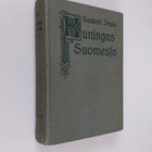Santeri Ivalo : Kuningas Suomessa : historiallinen romaani - pikkukuva 1