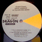DAVE LIEBMAN :: GUIDED DREAM  ::  VINYYLI  LP + PHOTO   1986 - pikkukuva 4