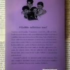 Enid Blyton - Viisikko ja linnan aarre (nid.) - pikkukuva 2