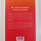 Irmeli Castren : Kodin jouluniksit - pikkukuva 2
