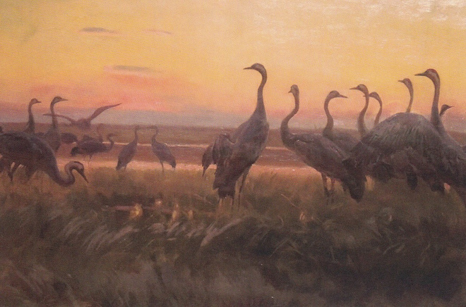 Josef Chelmonski: Kurjet, auringonnousu