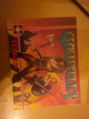 NES Gauntlet USA ohjeet