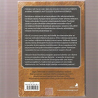 Riihimäki, Aapo: Nietzschen arvoitus,  Minerva 2009, K3 - pikkukuva 2
