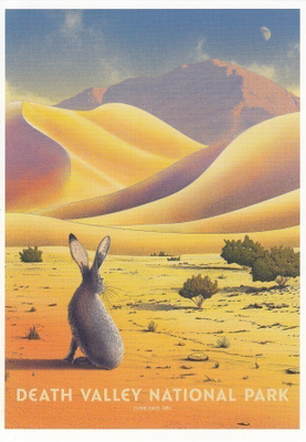 Death Valley National Park (postikortti)
