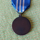 LOTTA SVÄRD ANSIOMITALI - pikkukuva 2