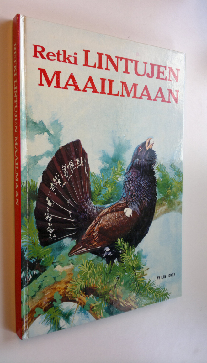 Takeo Ishida : Retki lintujen maailmaan